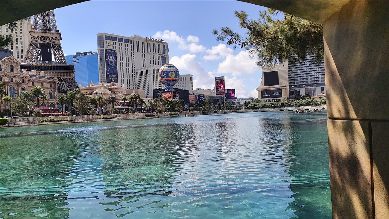 Bellagio fountains framed by a tree branch
