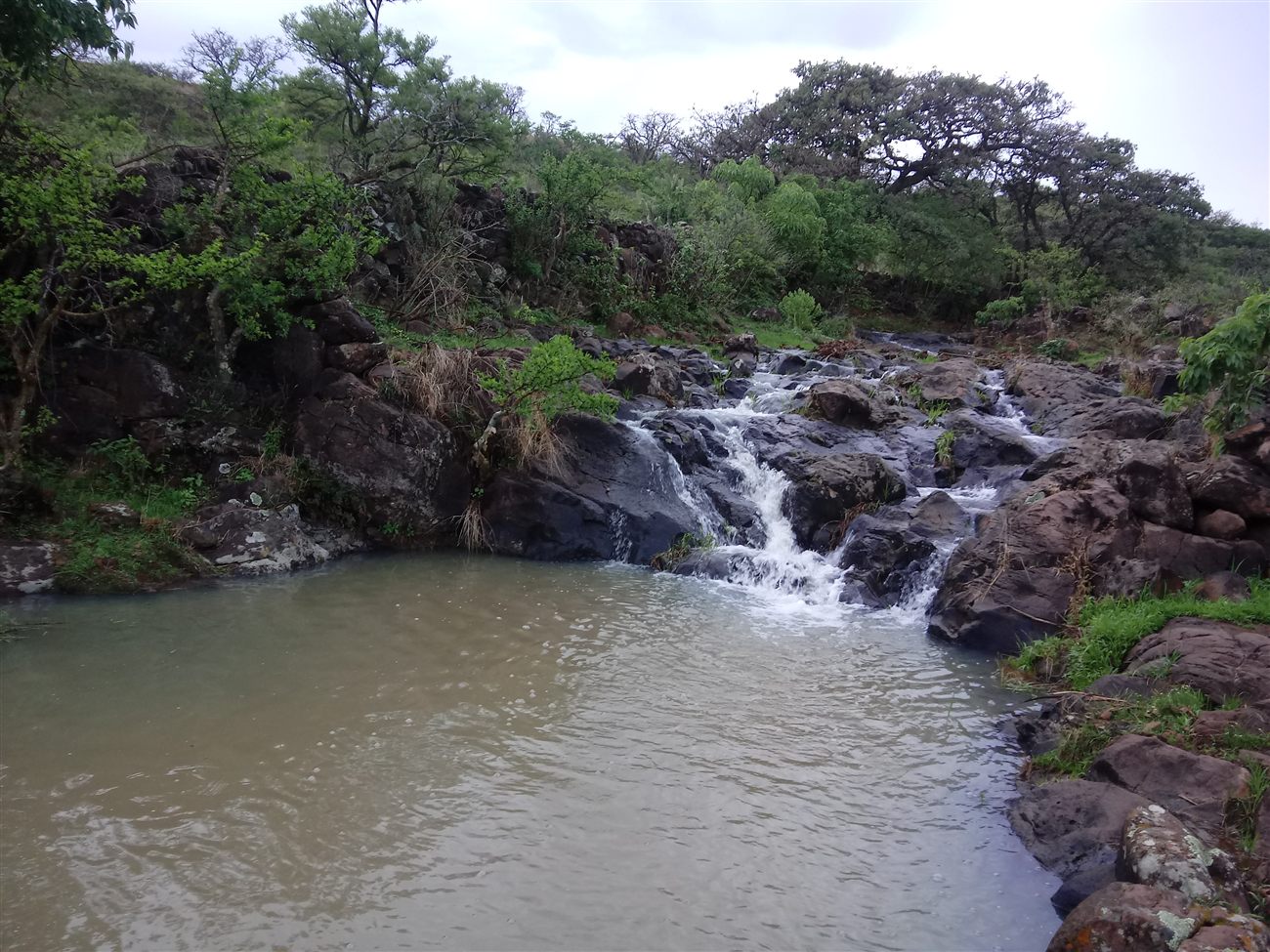 A rocky waterfall cascading through the Mexican countryside