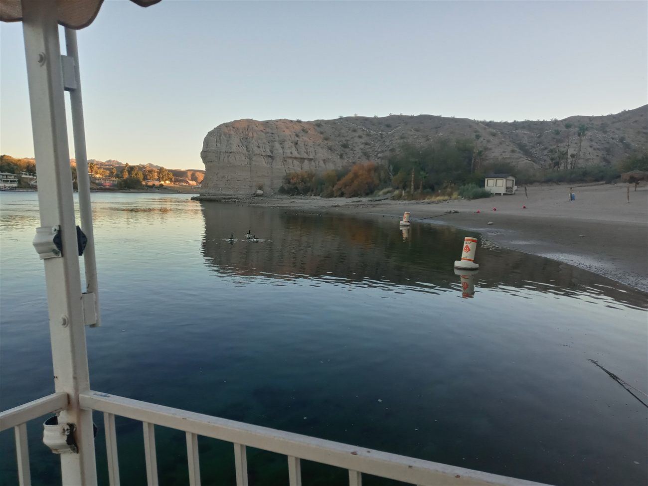 A rocky bluff on the Colorado River with ducks swimming near the shore
